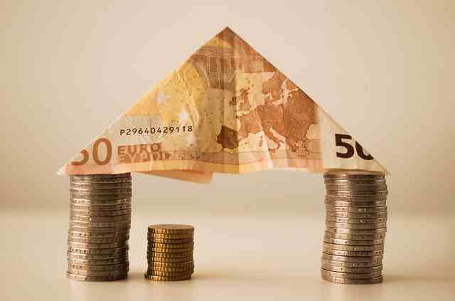 An investor has a number of loan options available