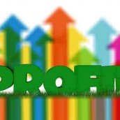 Property Profitability Index