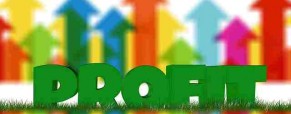 Property Profitability Index