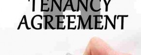 How Should You Mange Your Rental Property?
